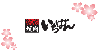 Znavi Online Booking Logo